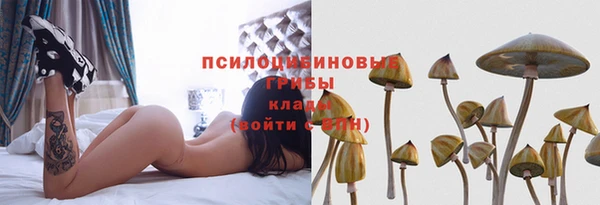 мяу мяу кристалл Нягань