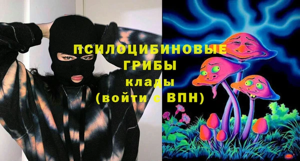 MDMA Premium VHQ Нязепетровск