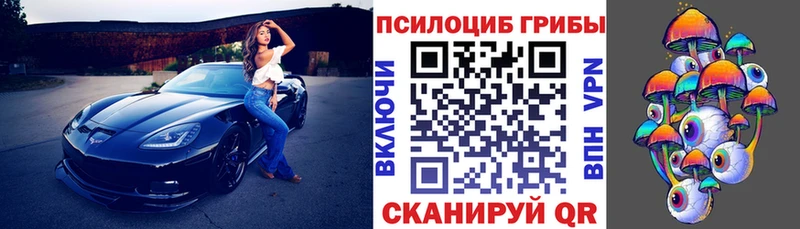 Купить закладки  Северская  Галлюциногенные грибы Magic Shrooms 